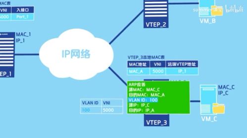 VXLAN通信原理及其在網絡與信息安全軟件開發中的應用